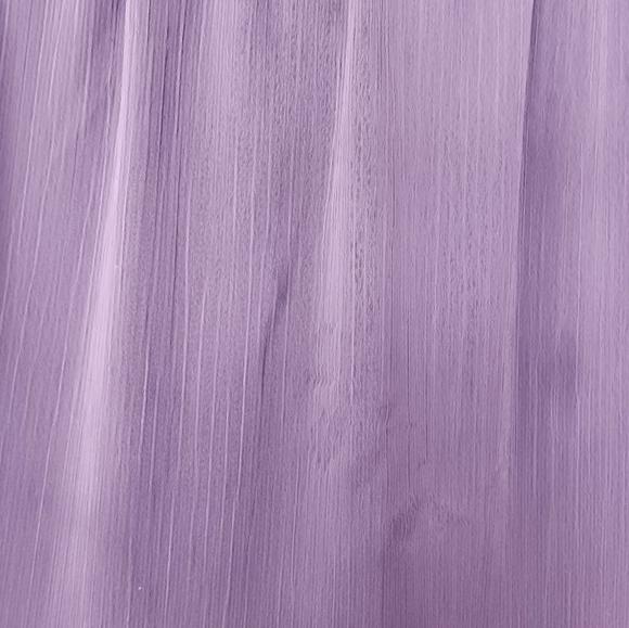 Express Sheer Maxi Skirt - Picture 10 of 10